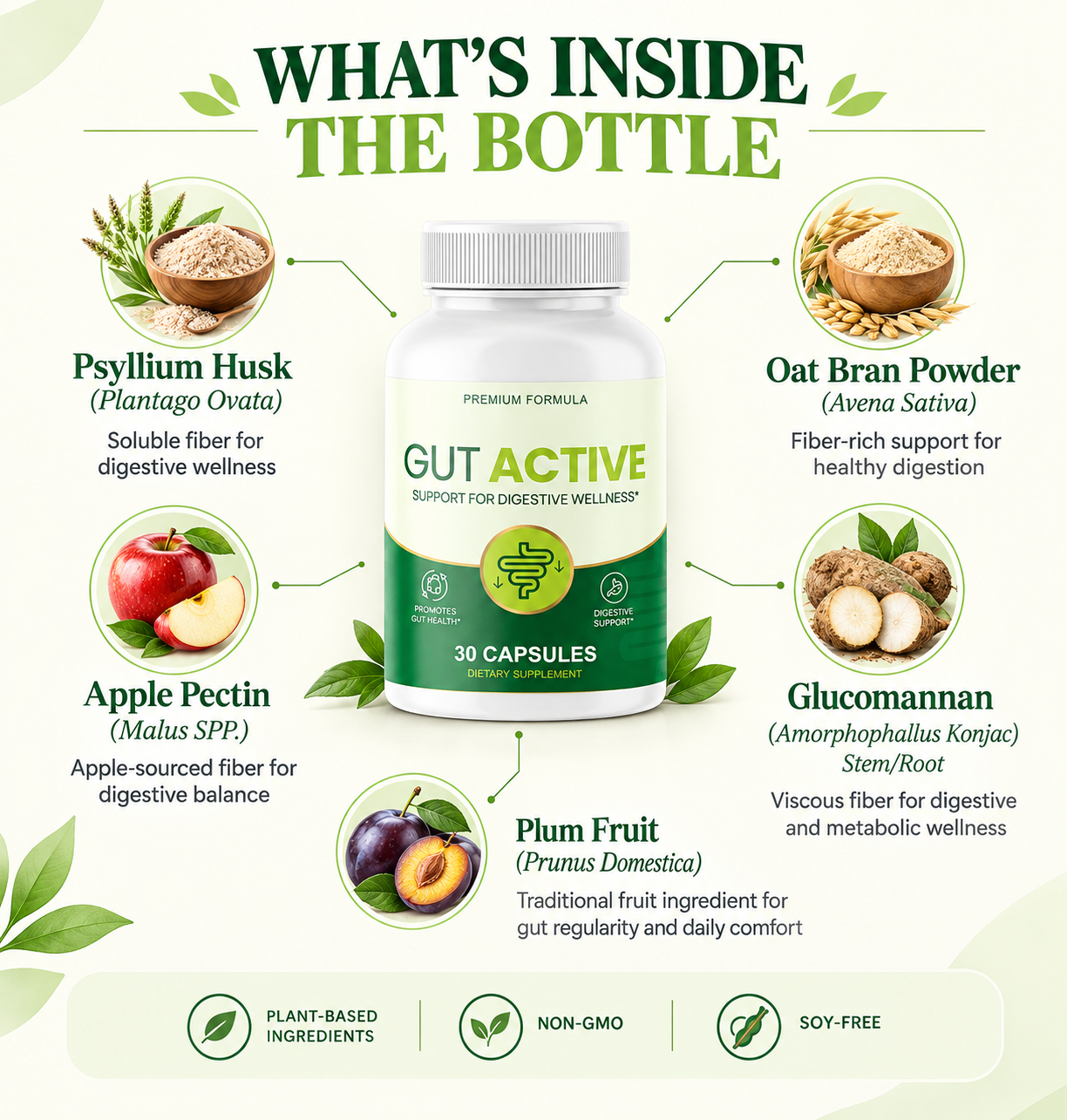 What's inside Gut Active — Psyllium Husk, Oat Bran, Apple Pectin, Glucomannan, Plum Fruit
